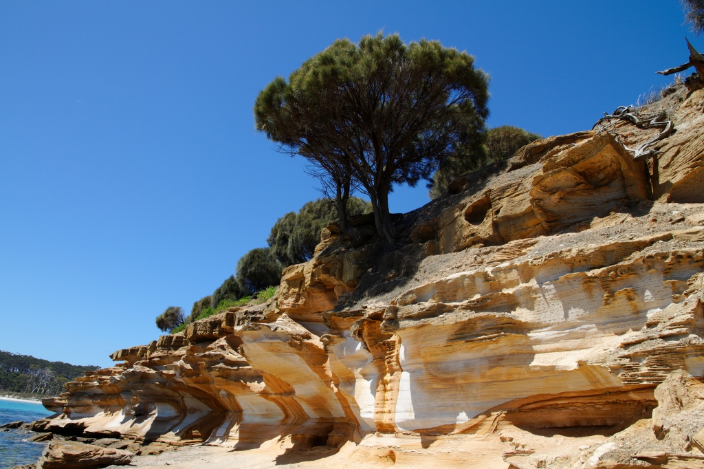 10 - Maria Island NP (8).jpg